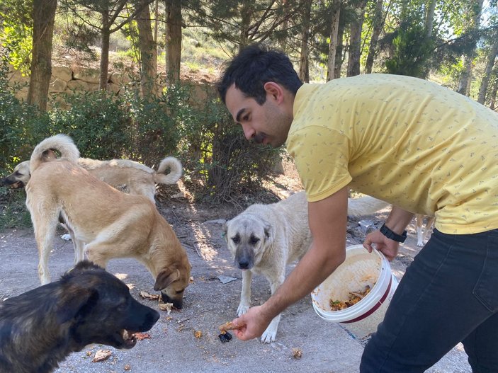 Ankara'da sokak hayvanları için restoranlarda ücretsiz çalışıyor
