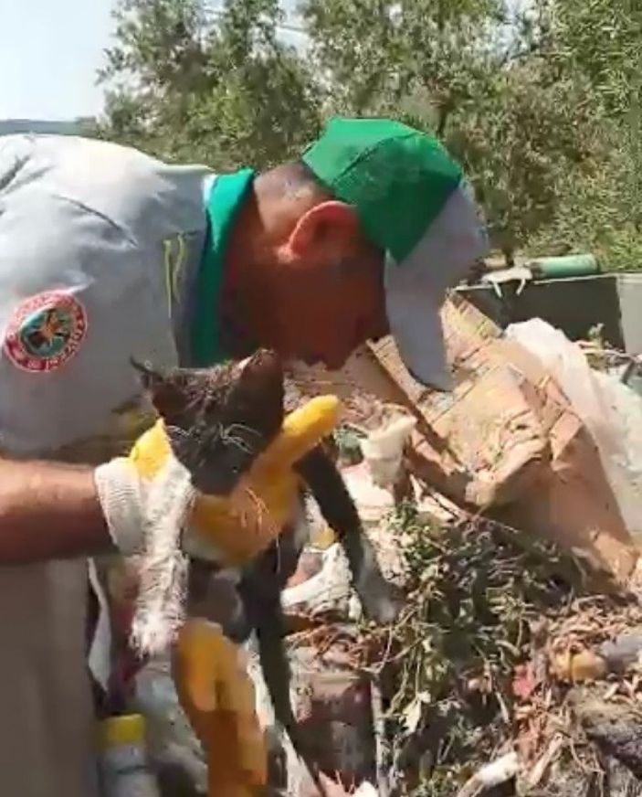 Manisa'da temizlik işçisi çöpe atılmış yavru kedi buldu