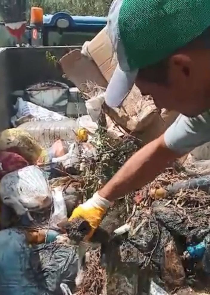 Manisa'da temizlik işçisi çöpe atılmış yavru kedi buldu