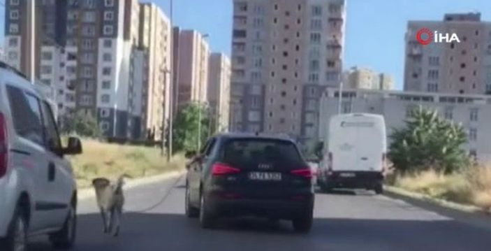 i Esenyurt’ta, köpeği tasmasından tutup otomobilin arkasından koşturdu