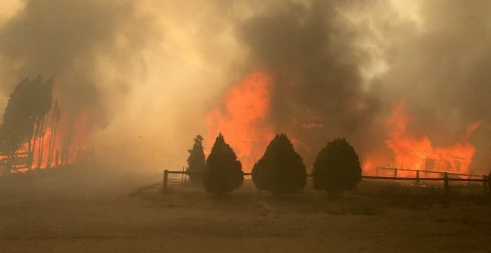 Kanada’da aşırı sıcaklar orman yangınına neden oldu