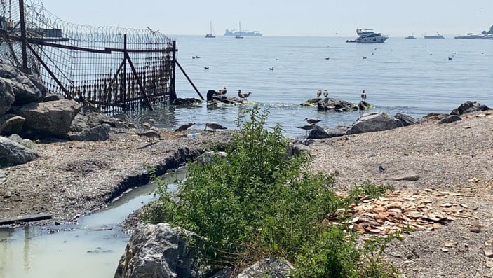 Kadıköy'de atıklarla pislenen derenin suyu denize karışıyor