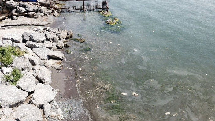 Kadıköy'de atıklarla pislenen derenin suyu denize karışıyor