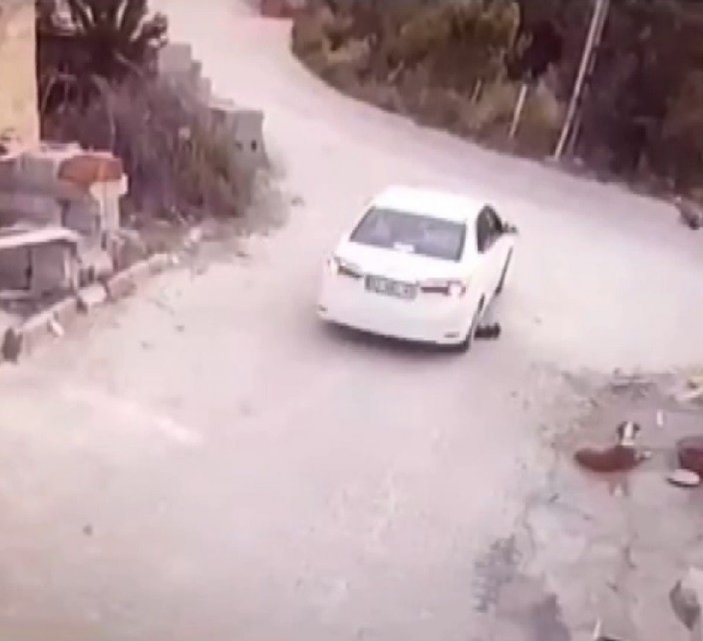 Konya'daki sürücü, gözünün önündeki köpeği ezdi
