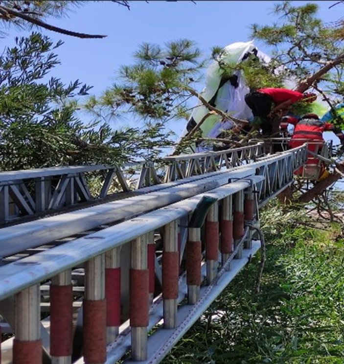 Fethiye'de yamaç paraşütçüleri ağaçta asılı kaldı