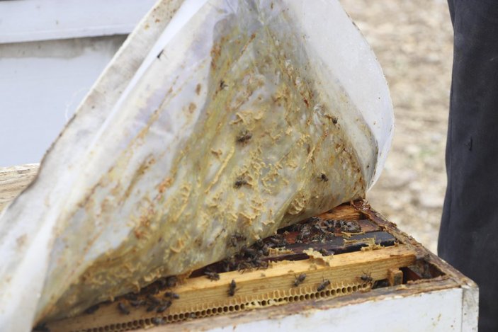 Ankara’da, damadının babasına ait arı kovanlarını parçaladı
