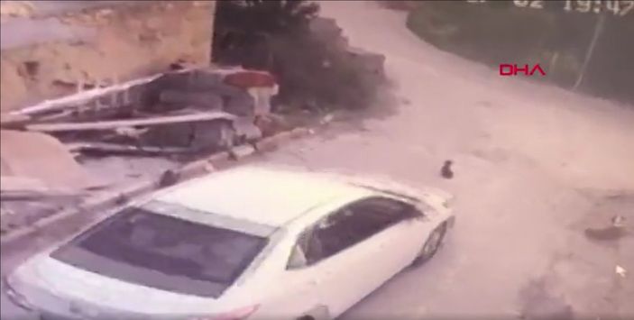 i Konya’da yavru köpeği ezip yoluna devam etti