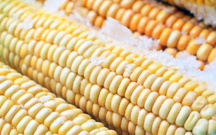 Dondurucuda meyve ve sebze saklama koşulları