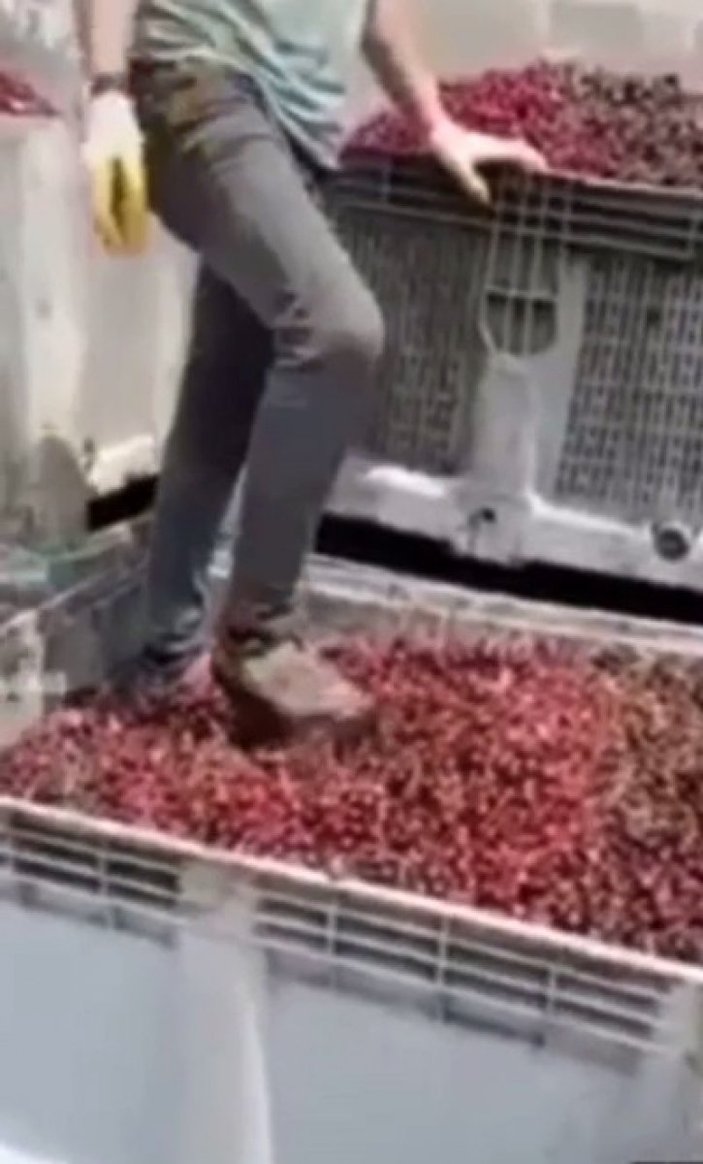 Afyonkarahisar'da meyve suyu tesisinde meyvelerin üzerine ayakkabıyla bastılar