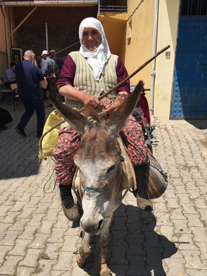 Amasya'da aşı ekipleri, eşek üstündeki yaşlı kadının şiiriyle moral buldu