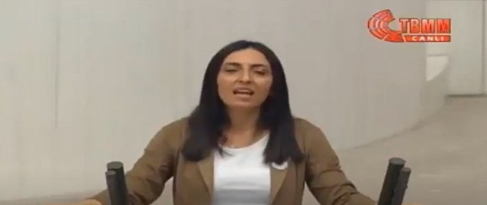 CHP'li Nurhayat Altaca Kayışoğlu, Meclis kürsüsünde türkü söyledi