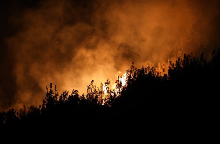 Foça'da orman yangını