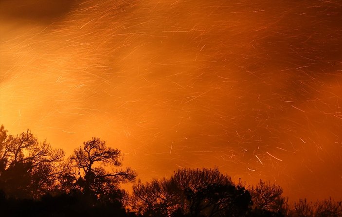 Foça'da orman yangını