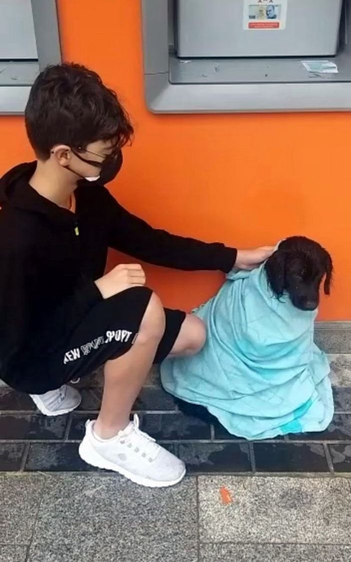 Sakarya’da üşüyen köpeğe battaniyesini sardı