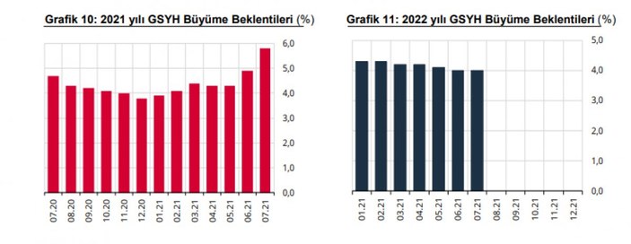 Büyüme beklentisi