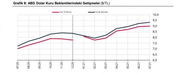 Döviz kuru beklentisi