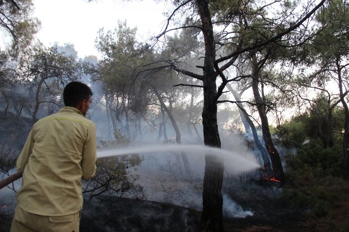 İzmir Foça'da orman yangını kontrol altına alındı