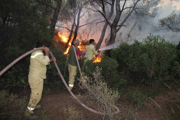 İzmir Foça'da orman yangını kontrol altına alındı