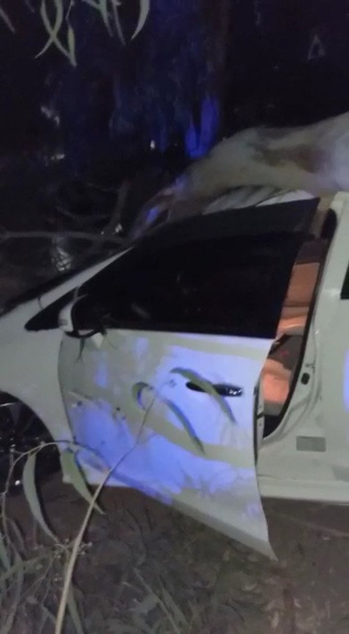 Mersin’de piknik alanındaki ağaçlar, araçların üzerine devrildi