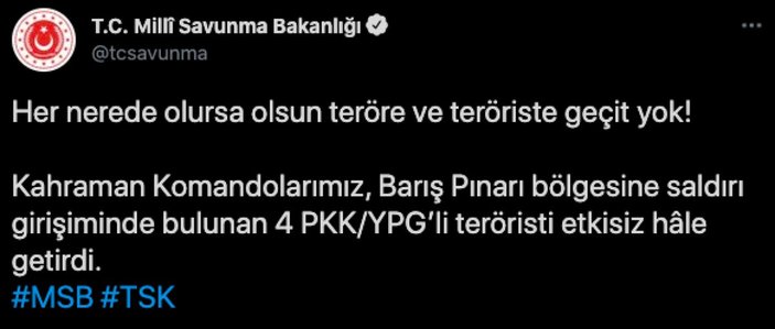 Barış Pınarı bölgesinde 4 PKK/YPG'li terörist öldürüldü