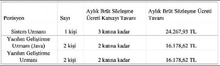 Danıştay Başkanlığı sözleşmeli bilişim personeli alacak! İşte başvuru şartları