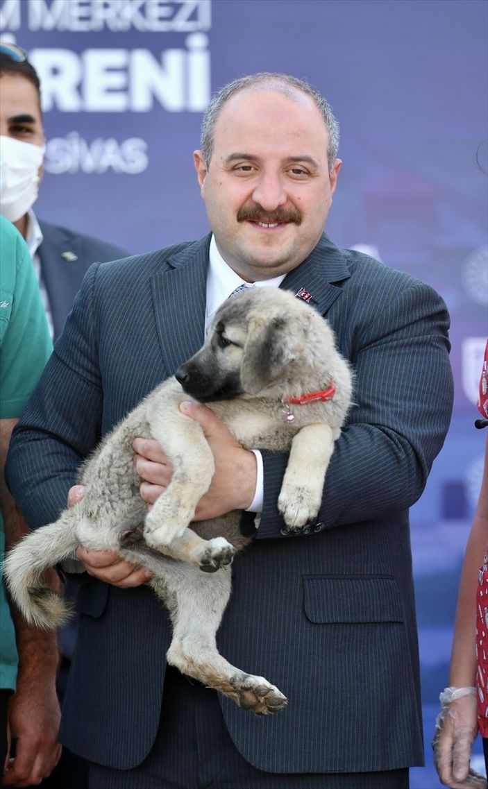 Sivas'ta kangal köpeği üretim ve eğitim merkezi açıldı