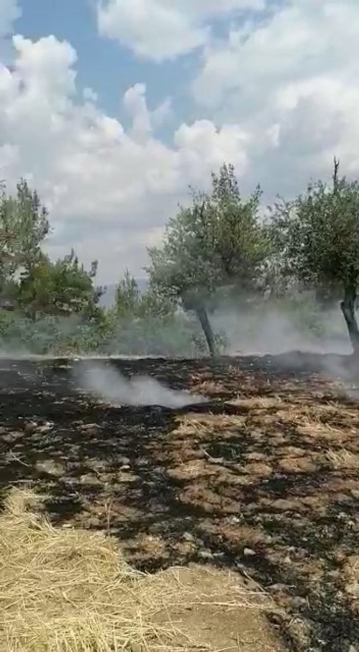 i Denizli’de ormanlık alanda yangın