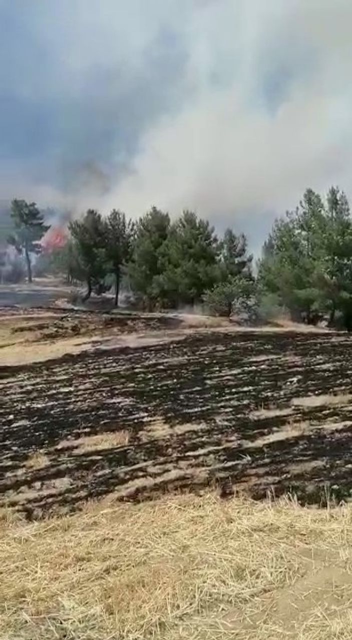 i Denizli’de ormanlık alanda yangın