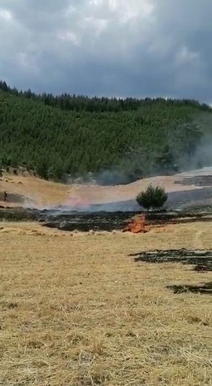 i Denizli’de ormanlık alanda yangın