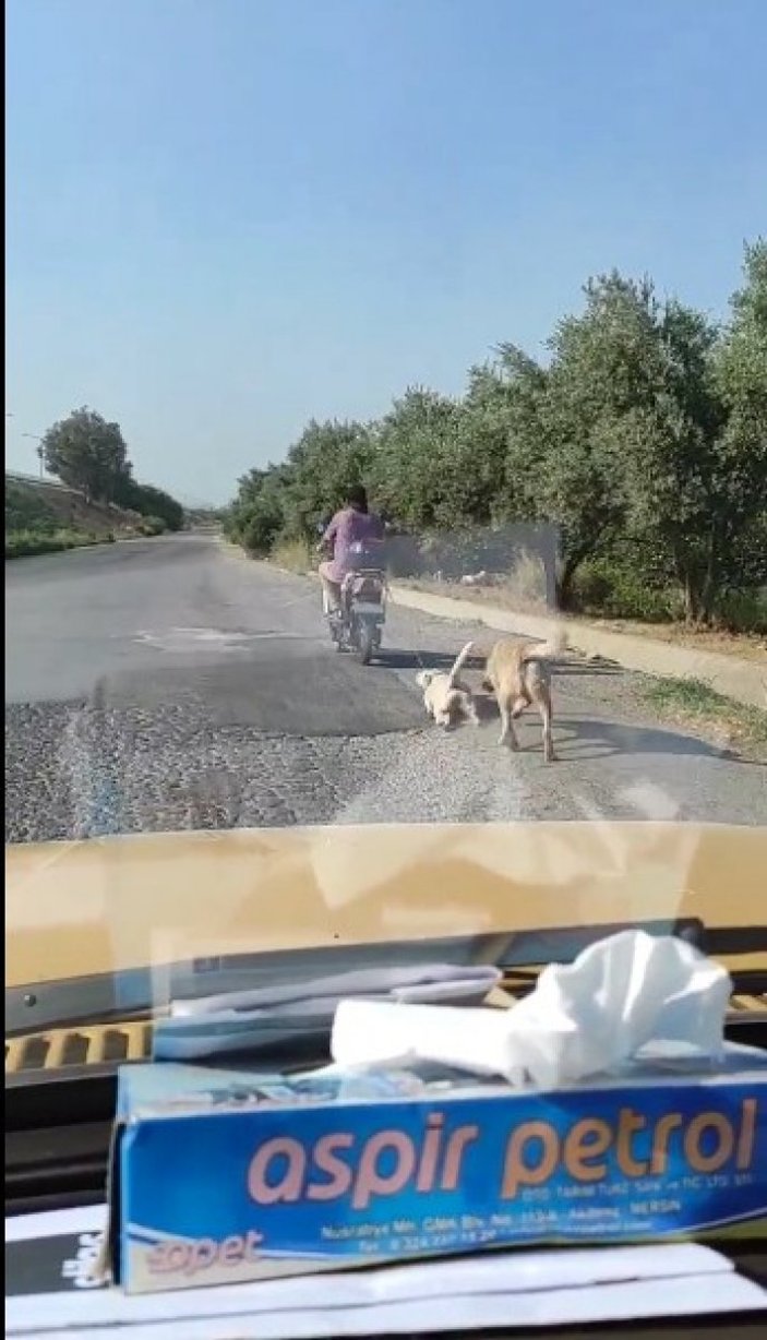 Mersin'de köpeği motosikletin arkasına bağlayıp sürükledi