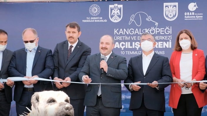 Kangal yetiştirme tesisi açıldı