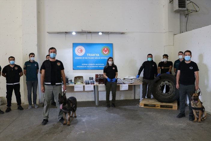 Kapıkule'de uyuşturucu ve hormon ilacı operasyonu