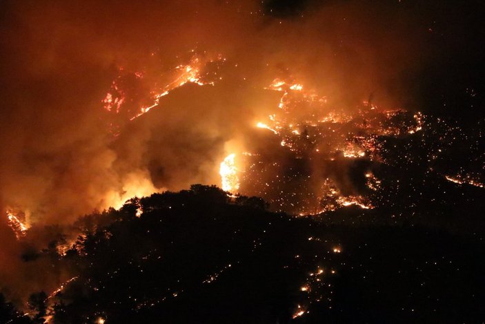 Mersin ve Hatay'da orman yangını