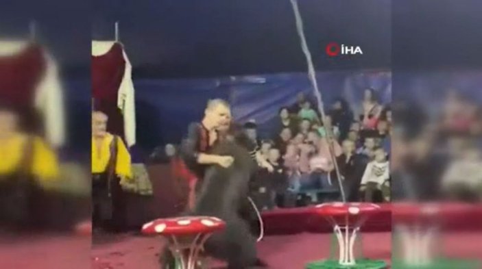 Rusya’da sirkteki ayı, terbiyecisine saldırdı
