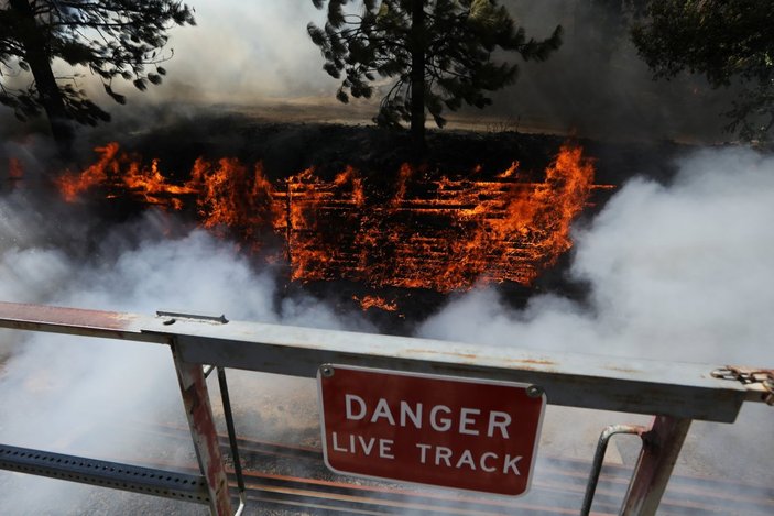 ABD'nin Kaliforniya eyaletinde orman yangını