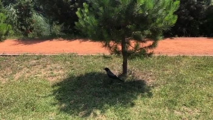 İstanbul’da hissedilen sıcaklık 42 dereceyi buldu