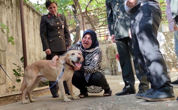 Şehit onbaşının köpeği ailesine sahiplendirildi