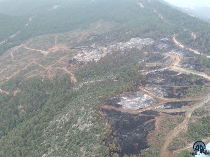 Bilecik'te ormanlık alandaki yangın yeniden alevlendi
