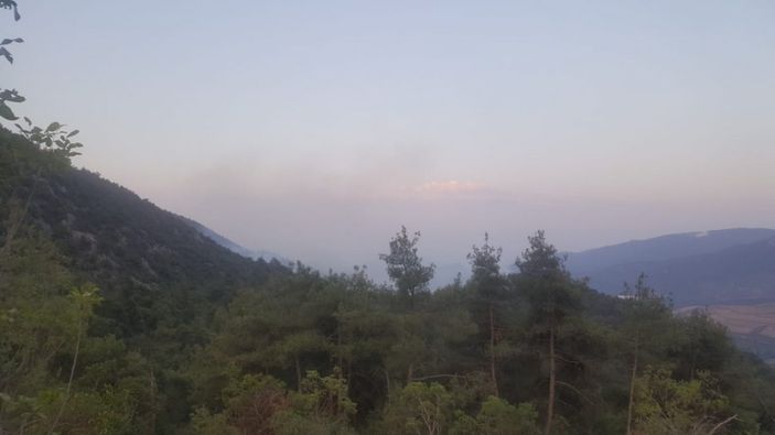 Bilecik'te ormanlık alandaki yangın yeniden alevlendi