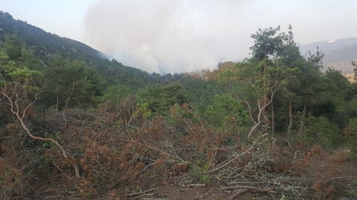 Bilecik'te ormanlık alandaki yangın yeniden alevlendi