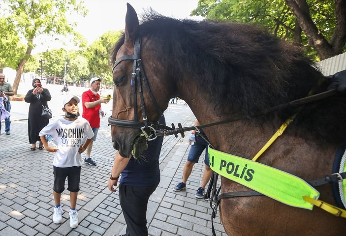 Sultanahmet Meydanı'nda atlı polislerden devriye