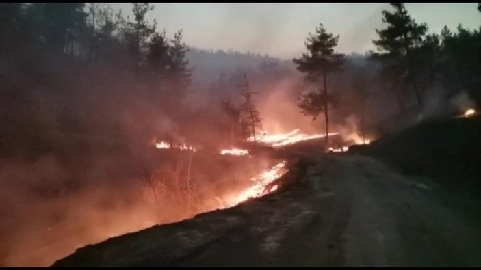 Kahramanmaraş’ta 25 hektar alan yandı