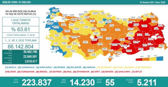 25 Temmuz Türkiye'de koronavirüs tablosu