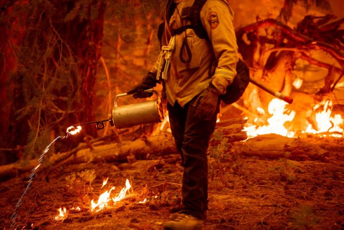 Kaliforniya'da orman yangınıyla mücadele