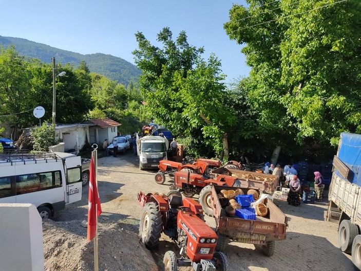 i Kiraz üretimi yüz güldürdü