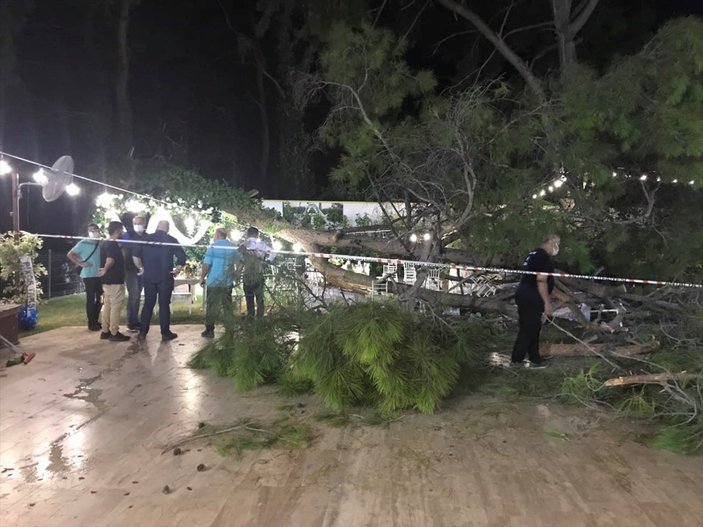 Antalya'da kır düğününde ağacın devrilmesi sonucu 1 kişi öldü