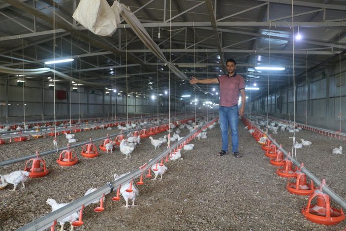 i, Malatya'da elektrik kesintileri, 35 bin tavuğu telef etti