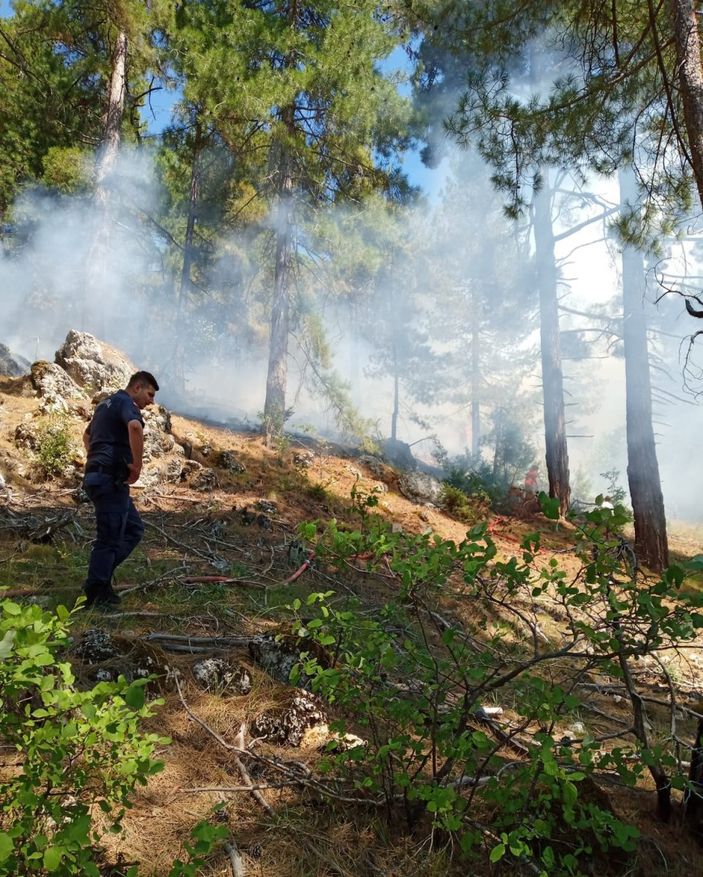 a Adana'da orman yangını