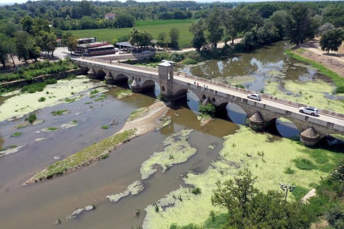 Edirne'de sıcak hava, tarımı da olumsuz etkiliyor