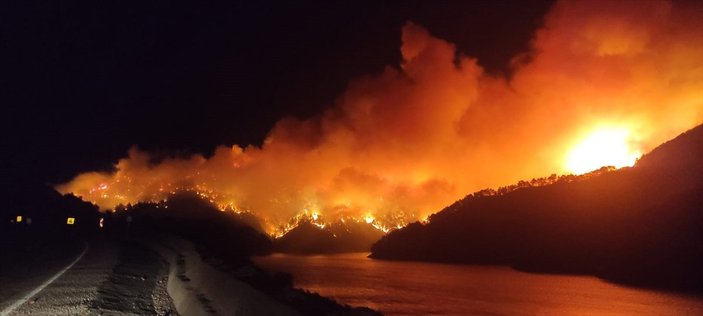 Türkiye'nin ormanları yanıyor